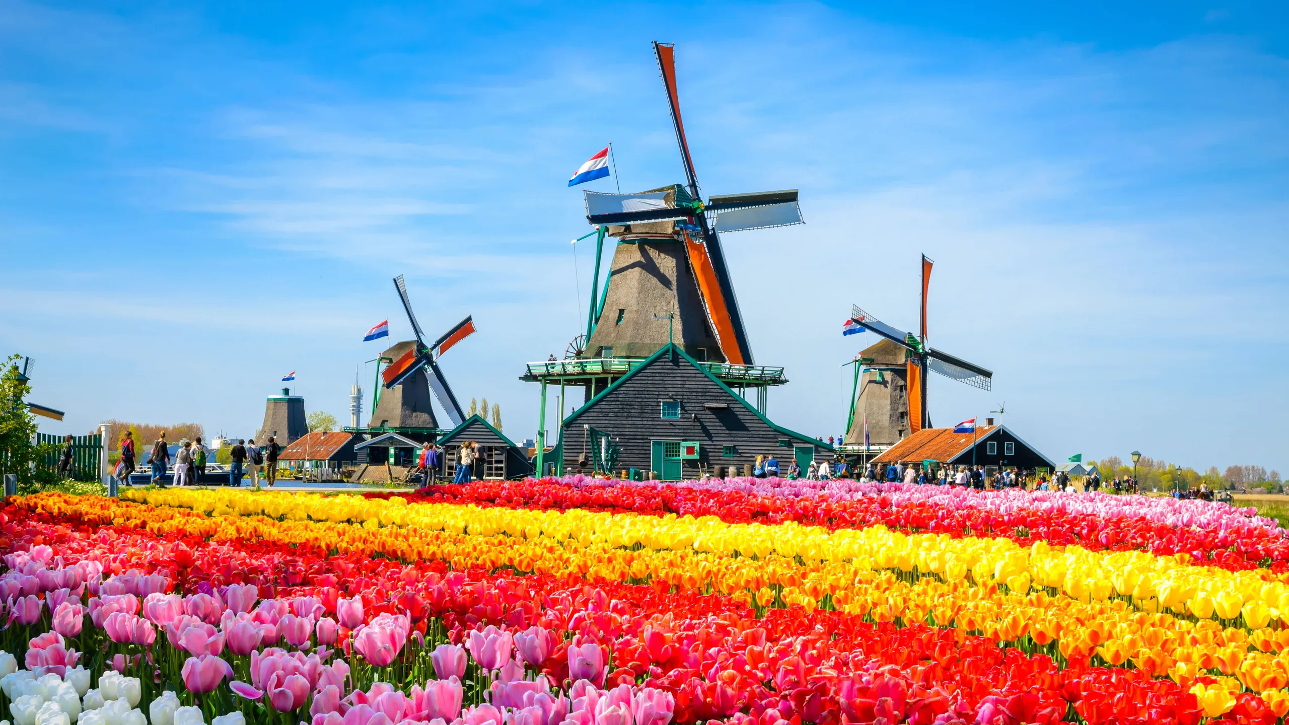 Fährziel Amsterdam