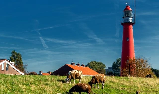 Fährziel Hoek van Holland