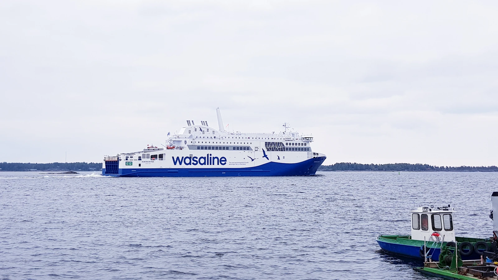Passagierfähre von Wasaline